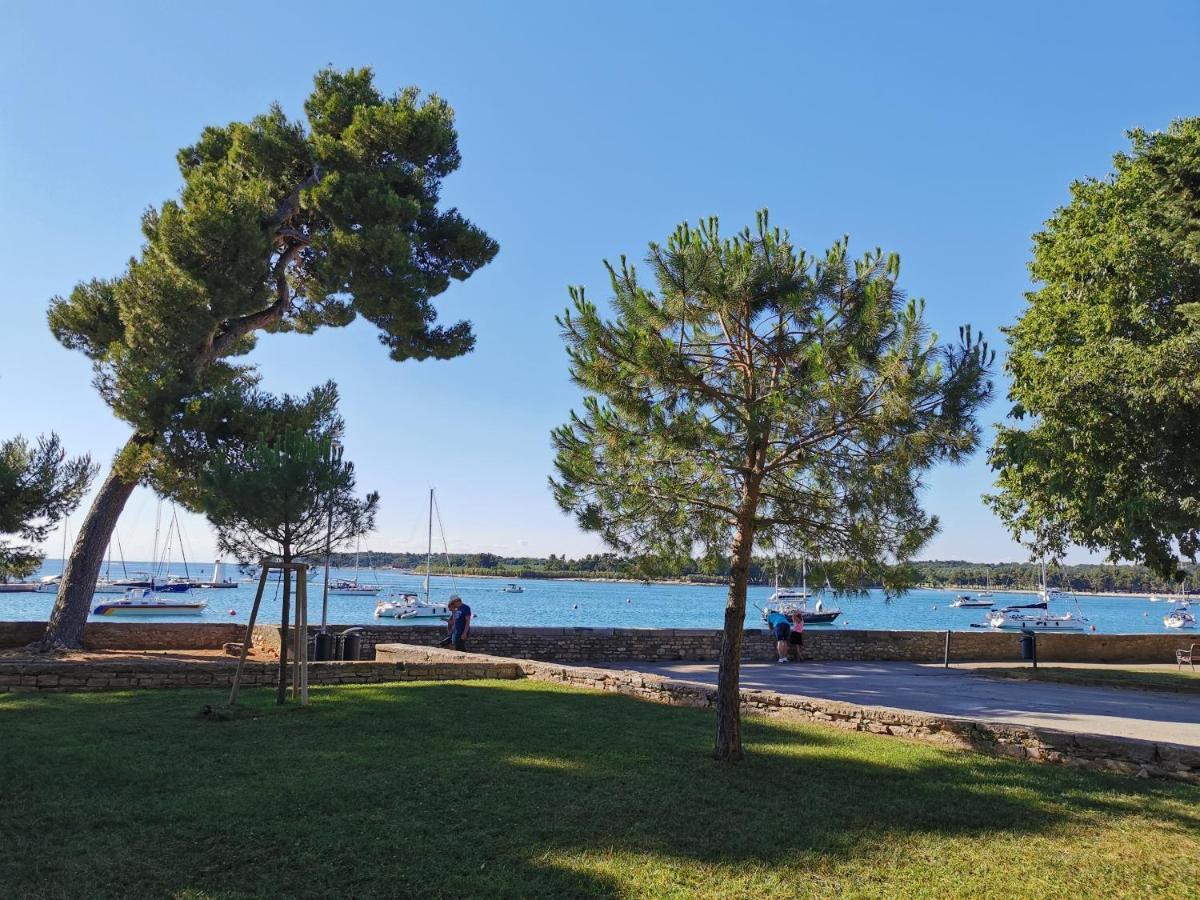 Ivan B&B, 5 Star Superior Room, Near The See And Park Novigrad Istria Dış mekan fotoğraf